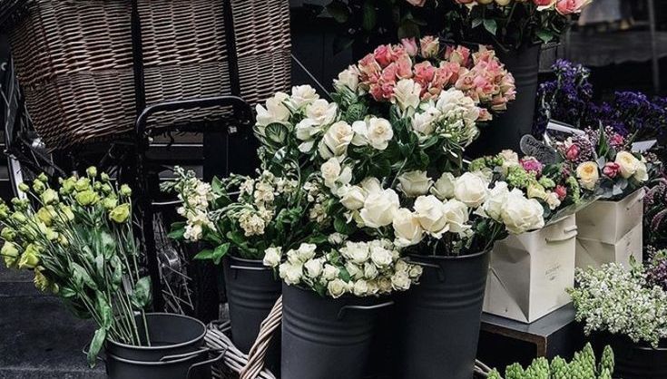 weacren's tweet image. #zonauang #zonatest hai test masuk?