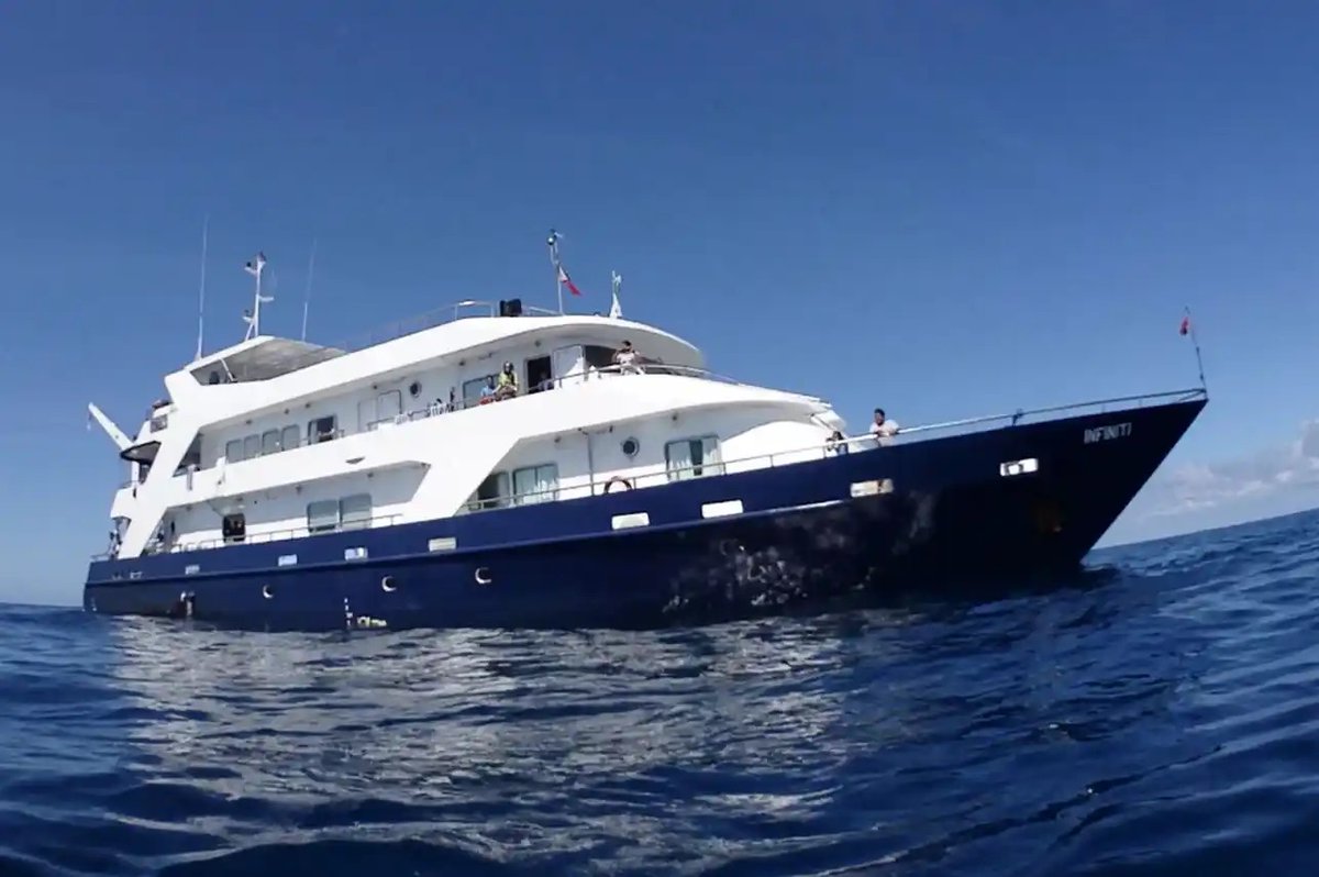 LiveaboardCom's tweet image. 🇵🇭 Infiniti, Philippines — 20% OFF
Hammerheads. Mantas. Tubbataha &amp;amp; El Nido. 🐟
🚢 Intimate yacht • Nitrox • Small groups
📆 Jan–Feb 2026
👉 liveaboard.com/diving/philipp…
#PhilippinesDiving #LiveAboard #Scuba