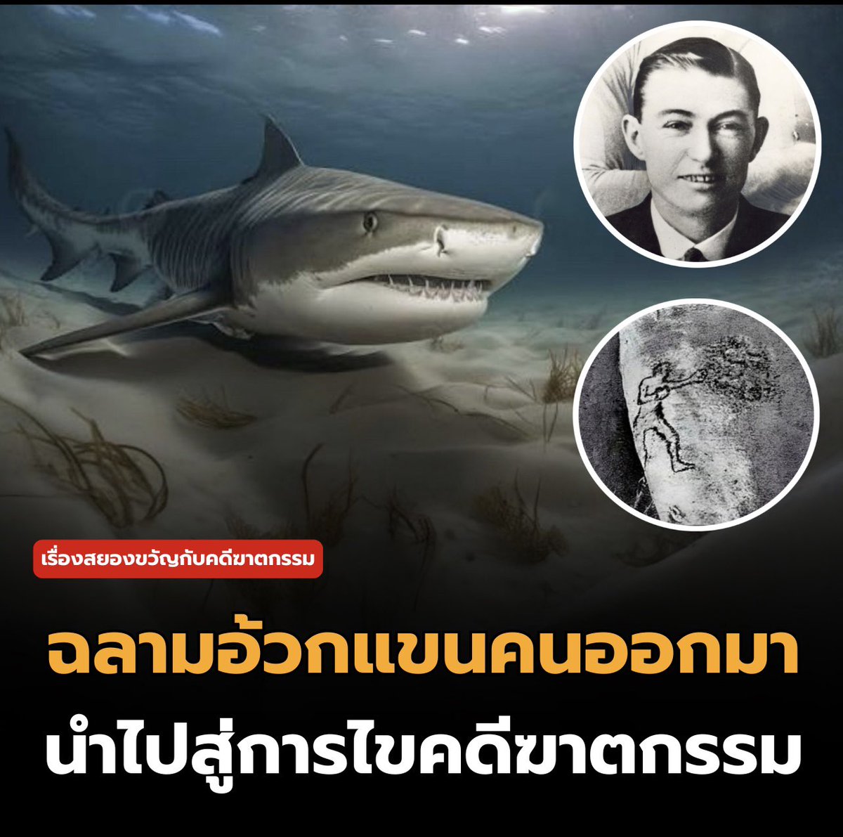ในปี 1935 ชาวประมงจับฉลามเสือได้แล้วส่งไปแสดงที่พิพิธภัณฑ์สัตว์น้ำ Coogee เมืองซิดนีย์ ต่อมาฉลามมีพฤติกรรมแปลกๆ ว่ายกระแทกบ่อ ก่อนจะอาเจียนแขนมนุษย์ออกมาต่อหน้าผู้ชม
 
- แขนถูกตัดอย่างเรียบมีเชือกผูกรอบข้อมือ และอยู่ในท้องฉลามมาแล้วอย่างน้อย 8 วัน
 
-