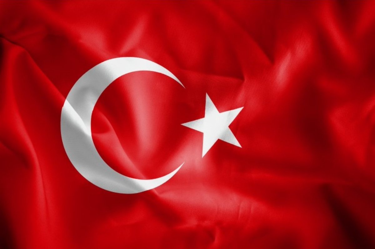 Mustafa Turan tweet media