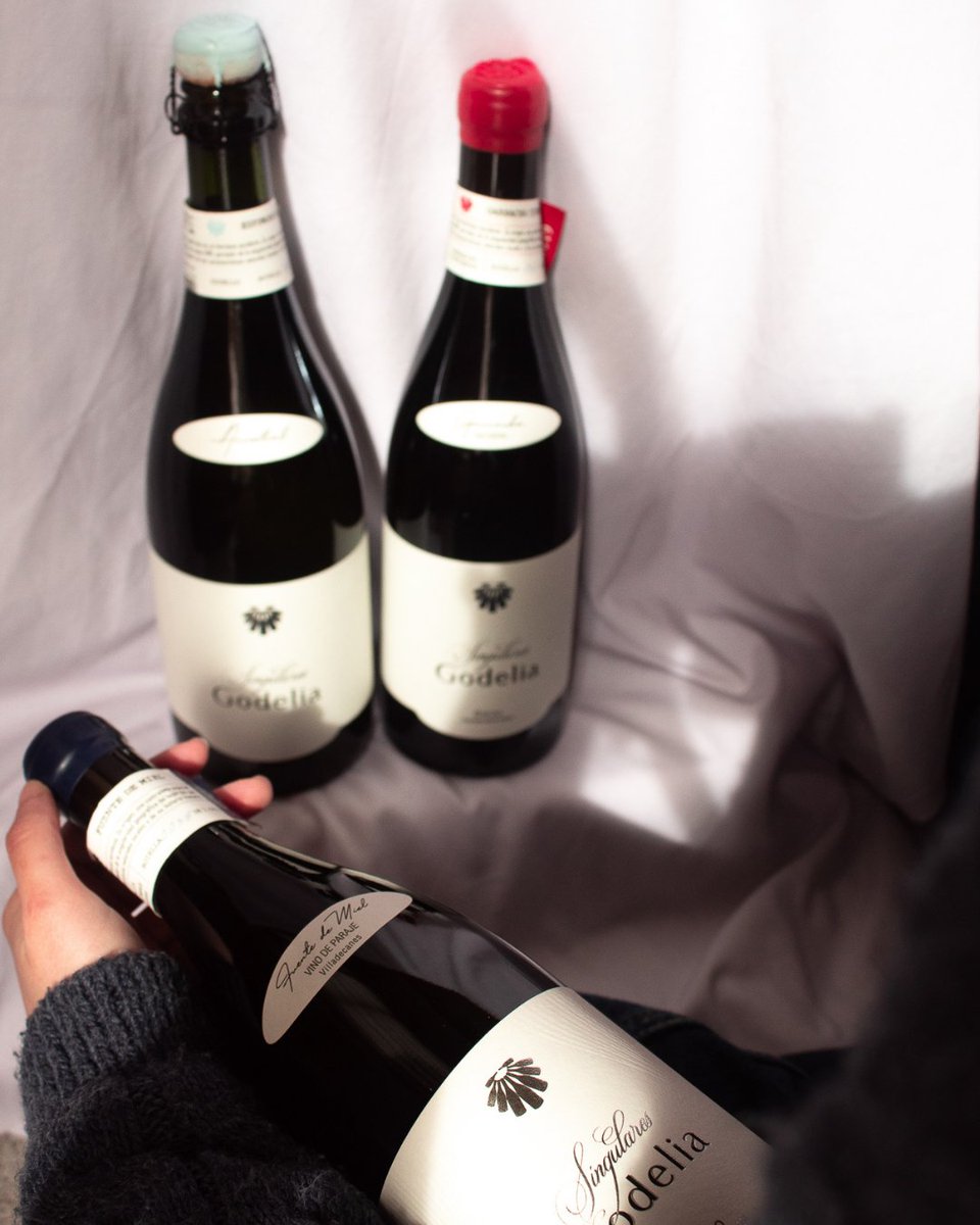 Nuestro principal objetivo cuando creamos el proyecto SINGULARES de Godelia fue alejarnos de la modas y tendencias, rendir homenaje a las tradiciones, a la forma de entender el paraje, la variedad.

Descubre más:
🌱 godelia.es/vinos-singular…