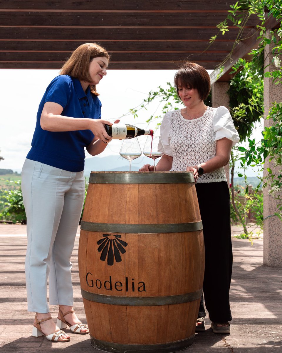 Singulares de Godelia no solo representa una colección de vinos de autor, sino también un compromiso de Bodegas godelia con la identidad y diversidad del Bierzo.
Descubre nuestro Garnacha Tintorera, uno de los tres vinos exclusivos de nuestro proyecto.
🌱 godelia.es/producto/garna…