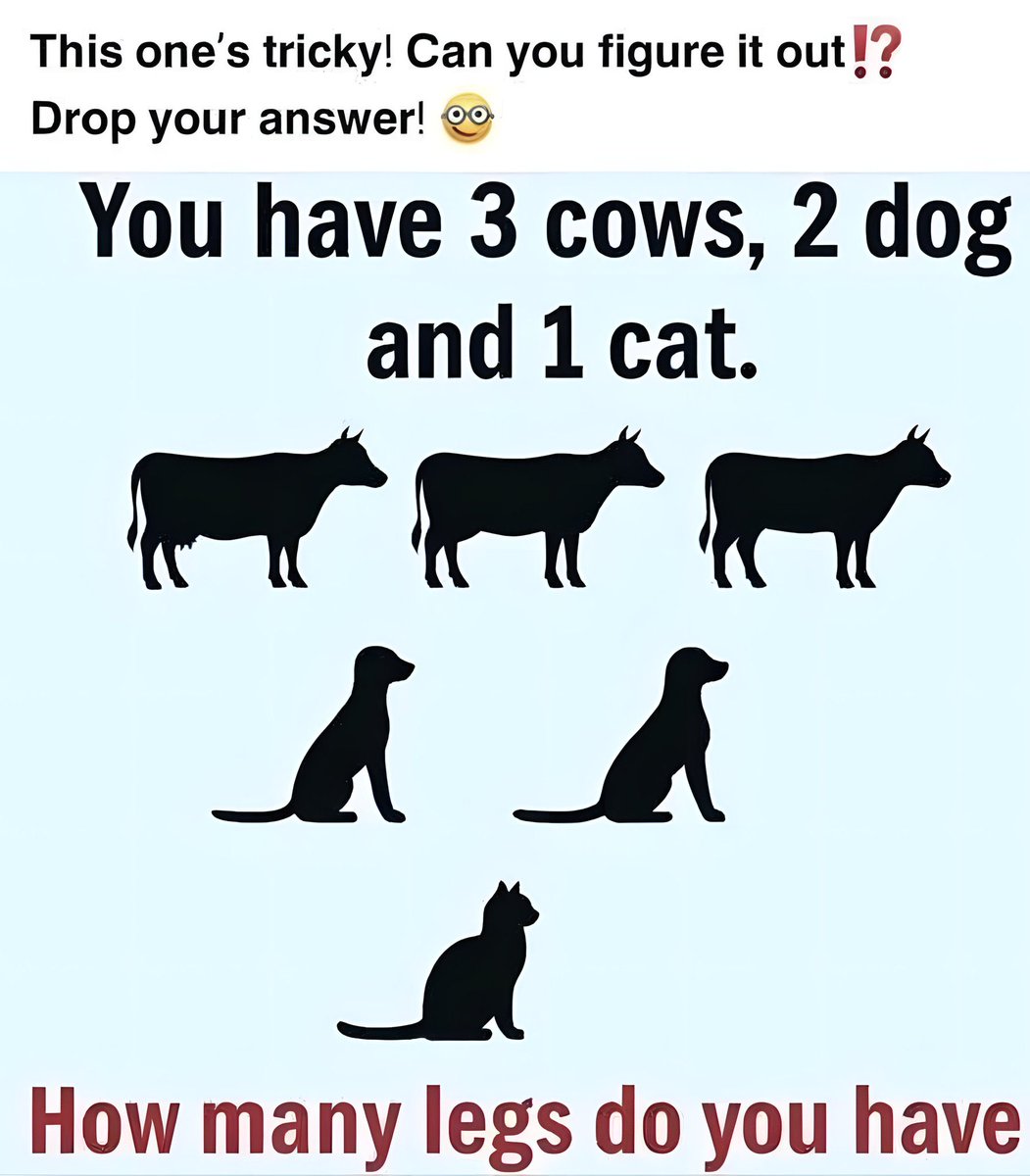 LadyValor tweet media