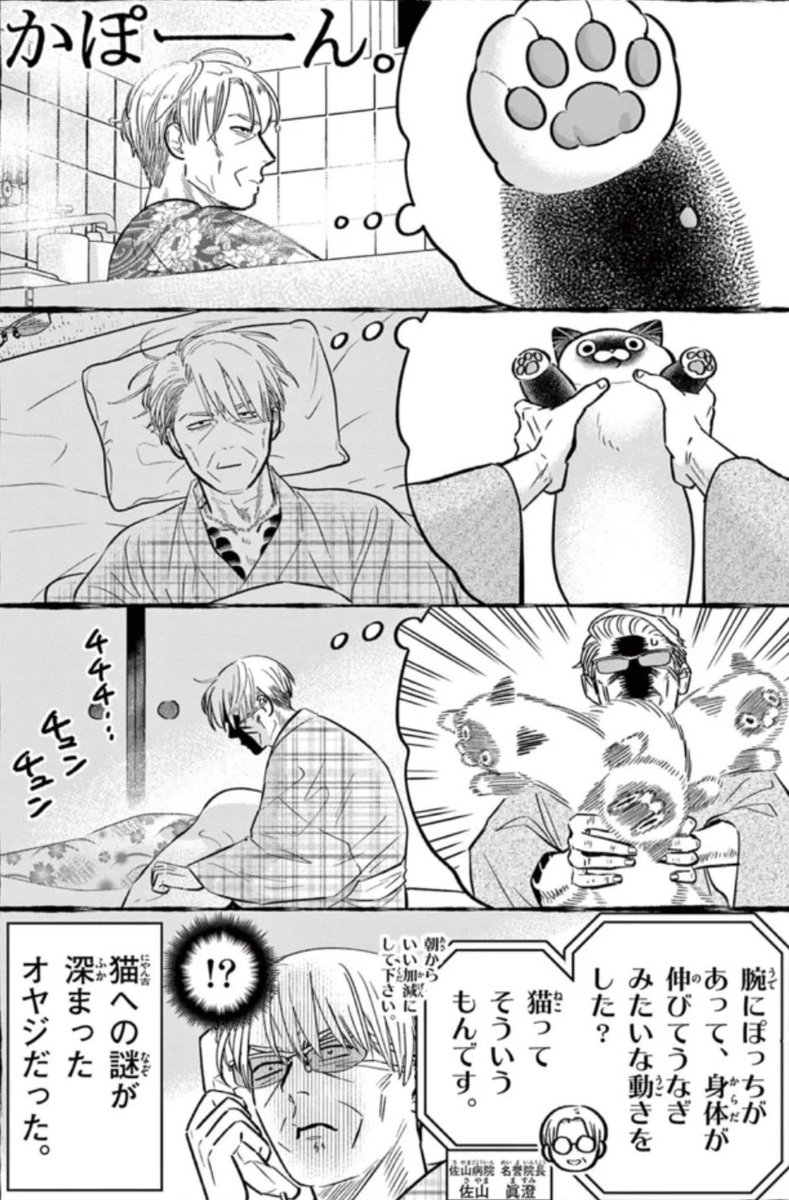 にゃん吉様おまとめページ Post by オヤジとにゃん吉🐾公式 on X: 猫の不思議🐾