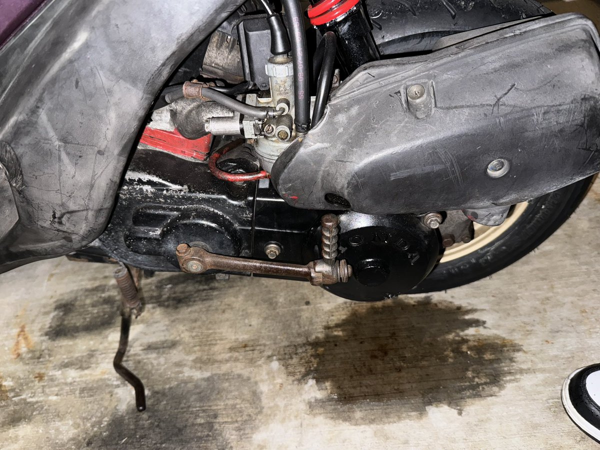 ガトー𝑺𝑯𝑶𝟓ラ (@cyber_gosei) / Posts / X