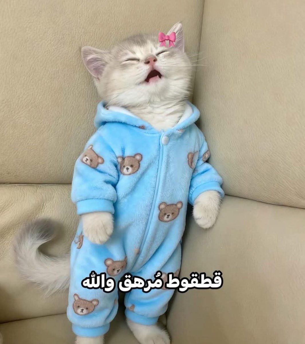 ema (@iemanayman) on Twitter photo 