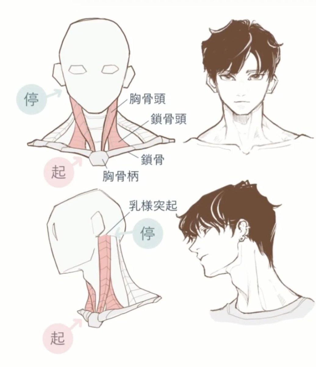 posemaniacs - ポーマニ tweet media