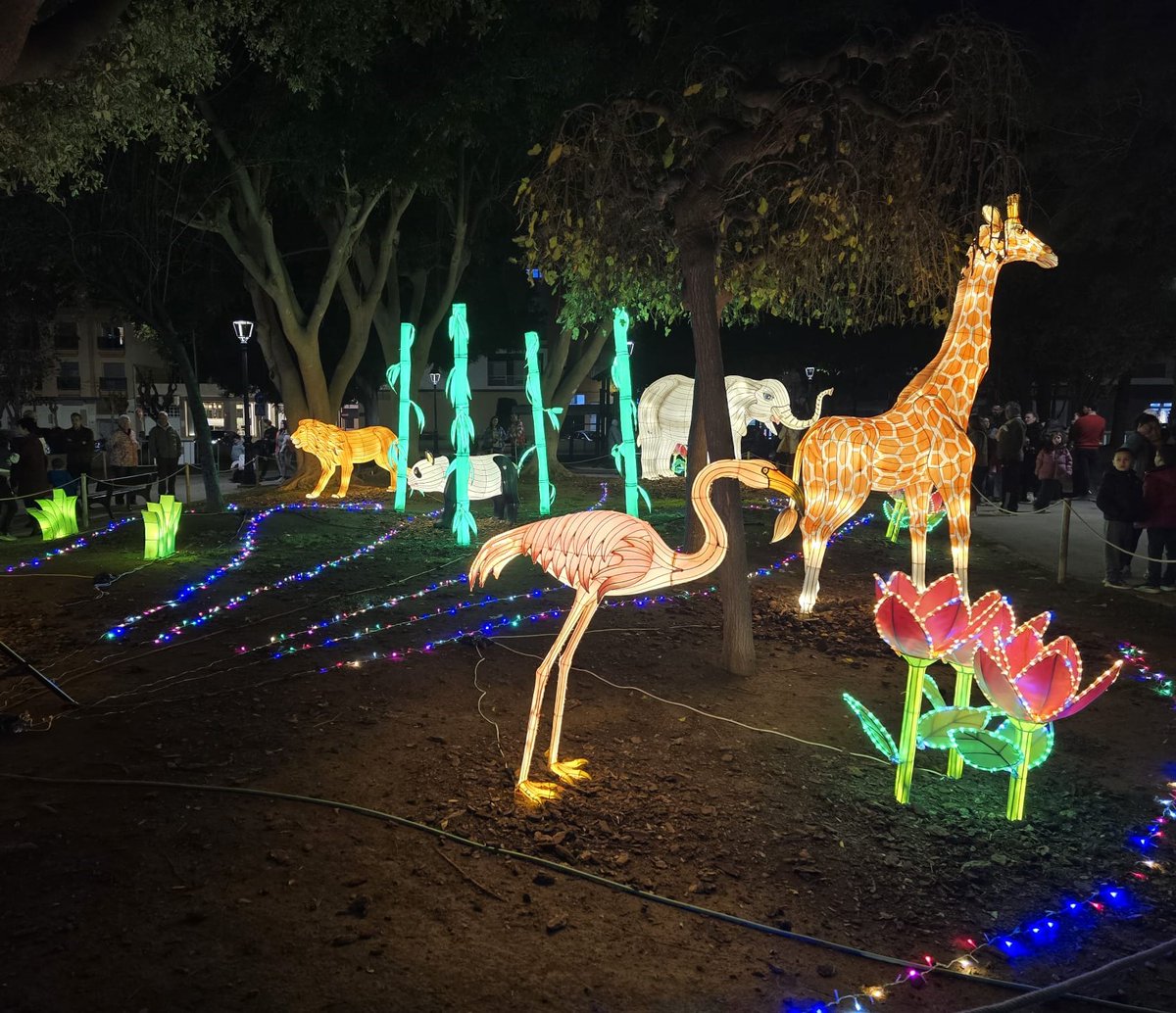 visitphoradada's tweet photo. Las figuras de seda y luz están siendo todo un éxito
La belleza de esta exposición nos regala imágenes tan especiales que una de ellas se convierte en la #TopPHoto de la semana
Recuerda que puedes visitar las figuras de seda y luz en el Parque 30 de Julio hasta el 1 de enero https://t.co/dvBe10kI7Q
