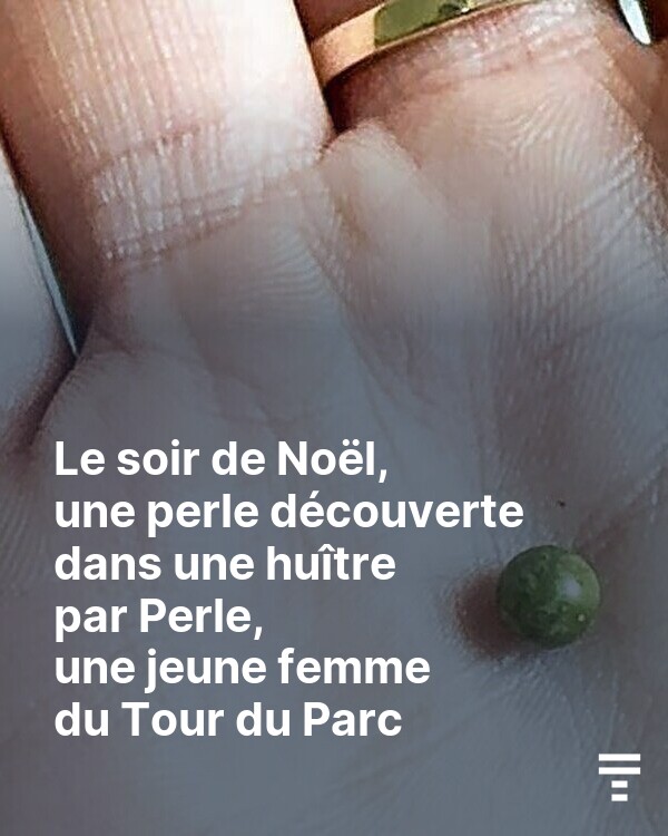 Entre une chance sur 10 000 de trouver une perle dans une huître… et la rareté du prénom Perle, la probabilité qu’une Perle découvre une perle dans une huître est très faible !
➡️ go.letelegramme.fr/JT5a