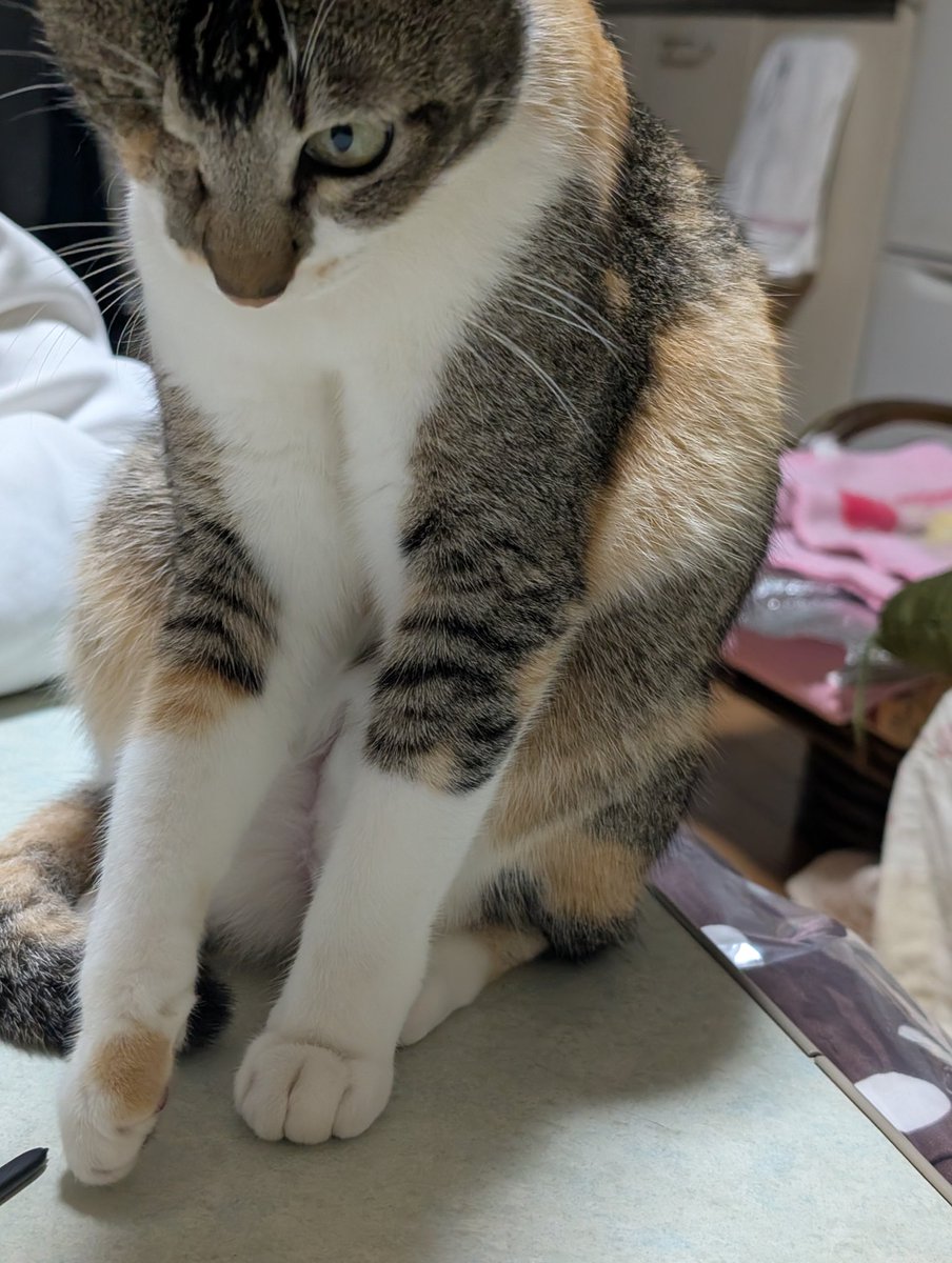 らむ｜取引プロカ必読 (@ramurinr2) / Posts / X