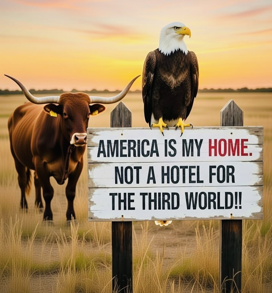 Brinx65's tweet image. Good Monday morning from Texas !