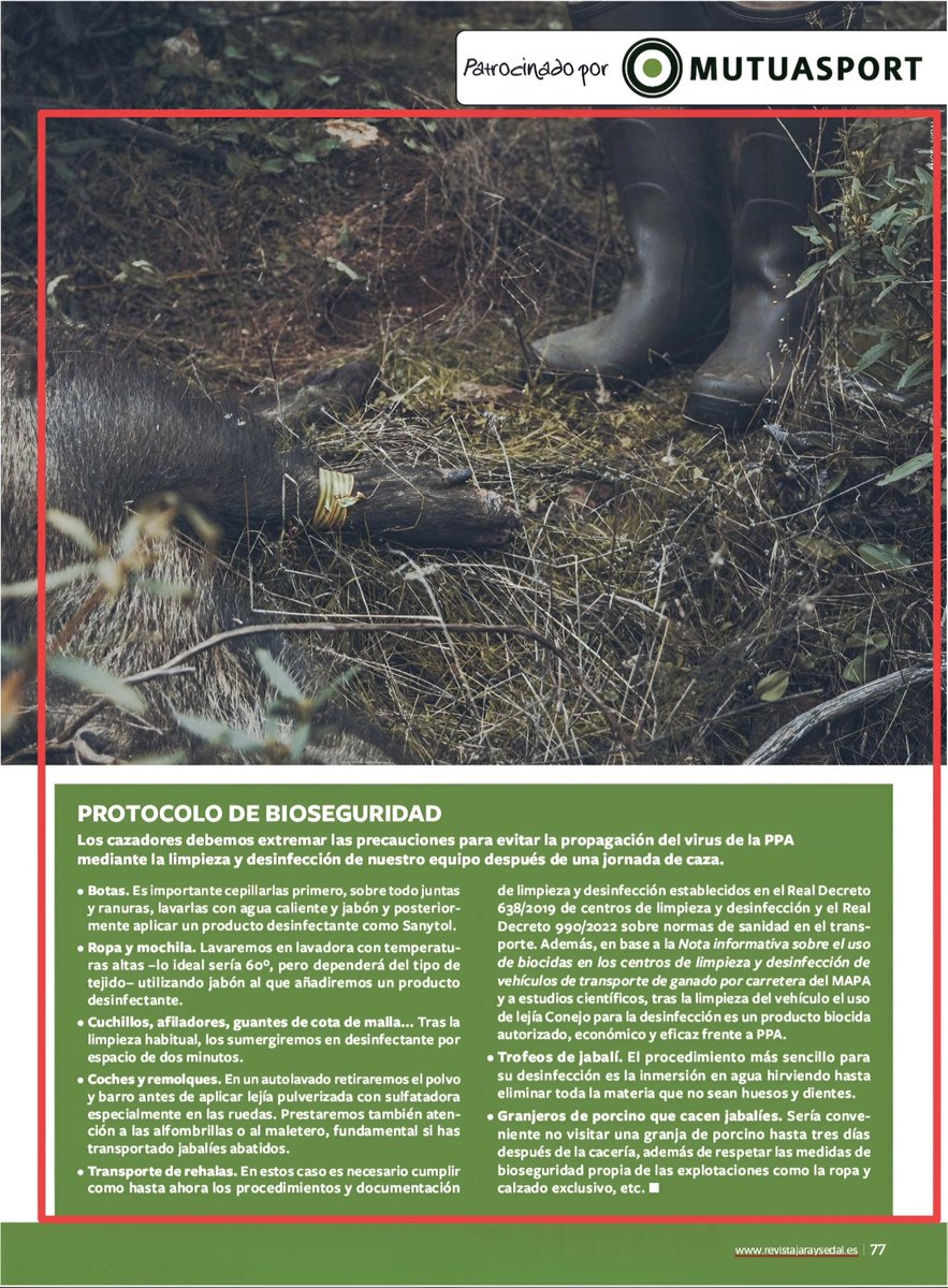 🇪🇸🐗🦌🐂🇪🇸 (@el_onubense) on Twitter photo 