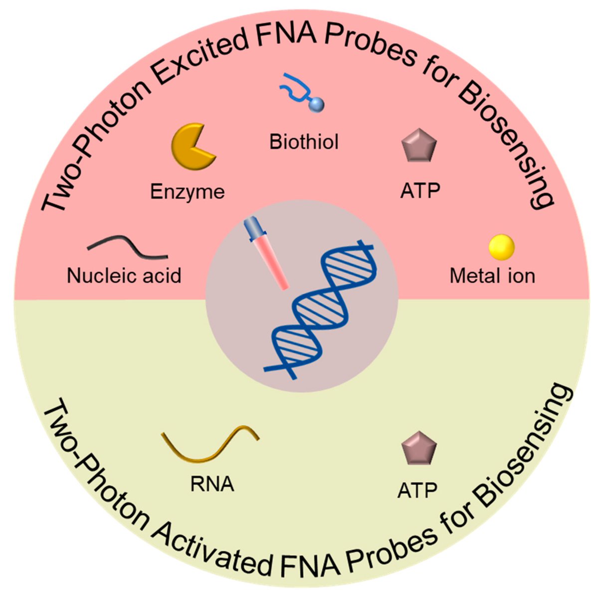 Biosensors_MDPI's tweet photo. 📣Call for Reading:
#Review
Functional Nucleic Acid Probes Based on Two-Photon for Biosensing
by Kefeng Wu, et al.
https://t.co/7cbvoEBqiH
#FunctionalNucleicAcid #FNA #TwoPhoton #DNAnanotechnology
#biosensors #mdpi #openaccess https://t.co/ad4E1n4ZPg