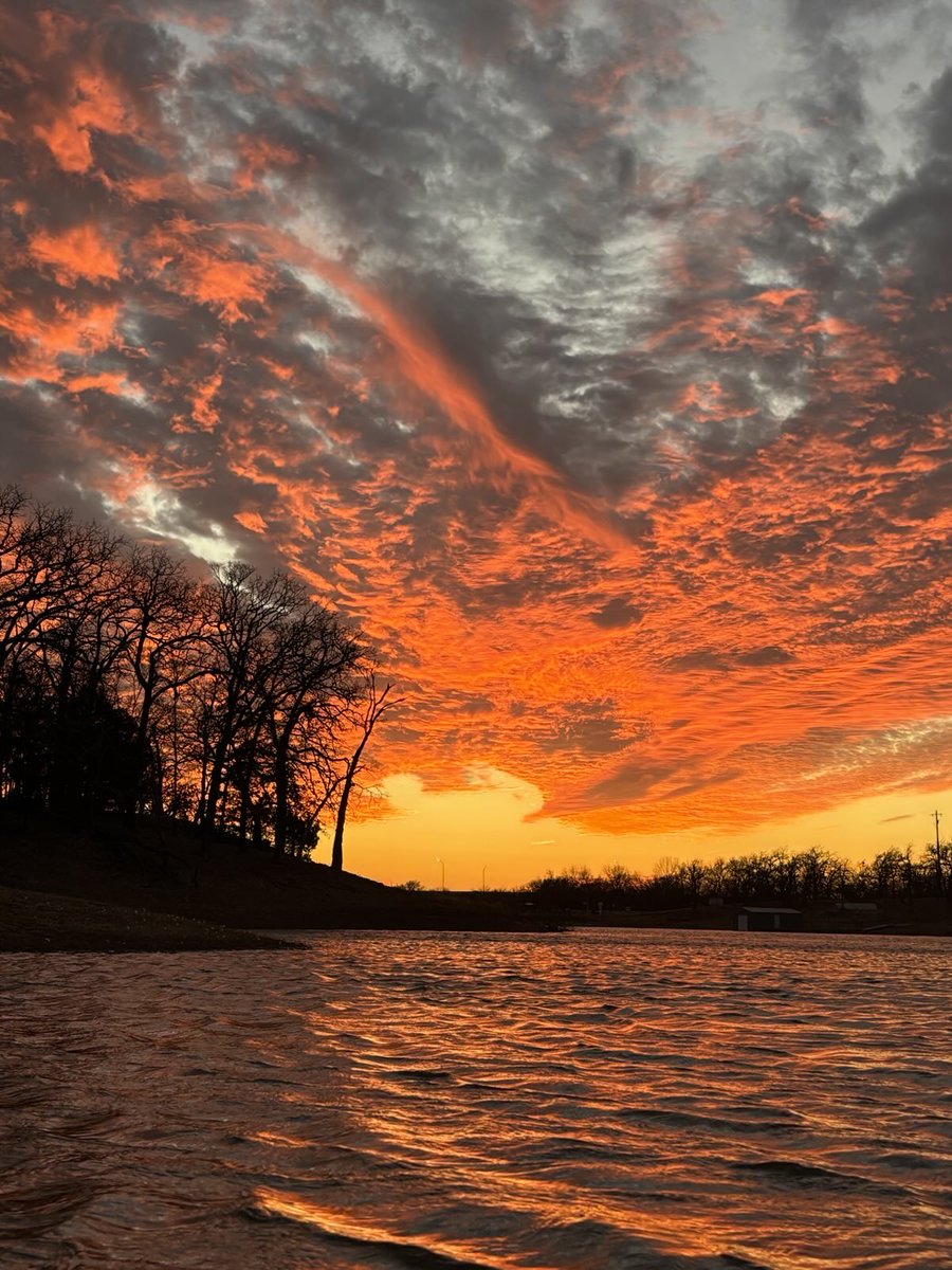 Tyler Lewis tweet media