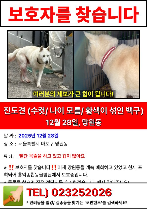 홍익종합동물병원으로 인계되었다고 합니다ㅠㅠ