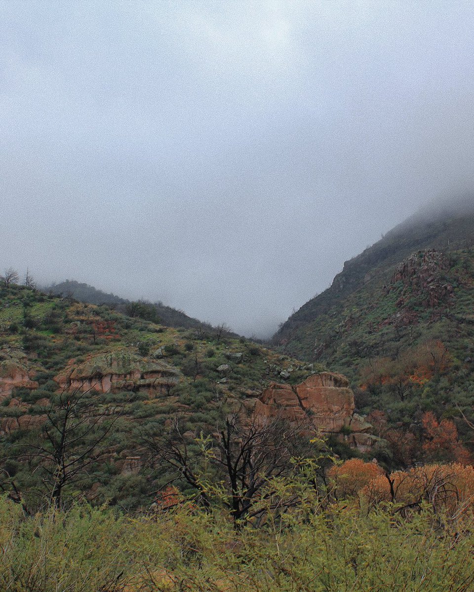 Founders Edits tweet media