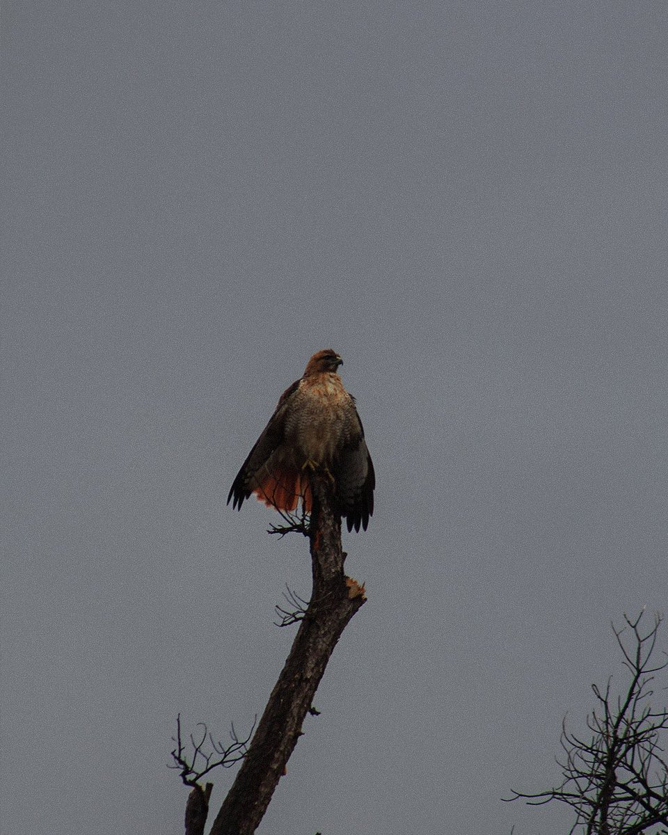 Founders Edits tweet media