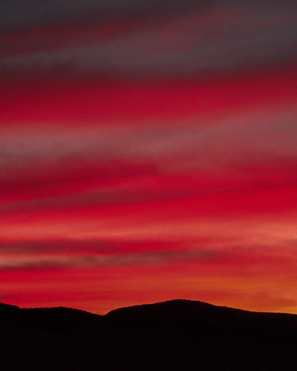 Founders Edits tweet media