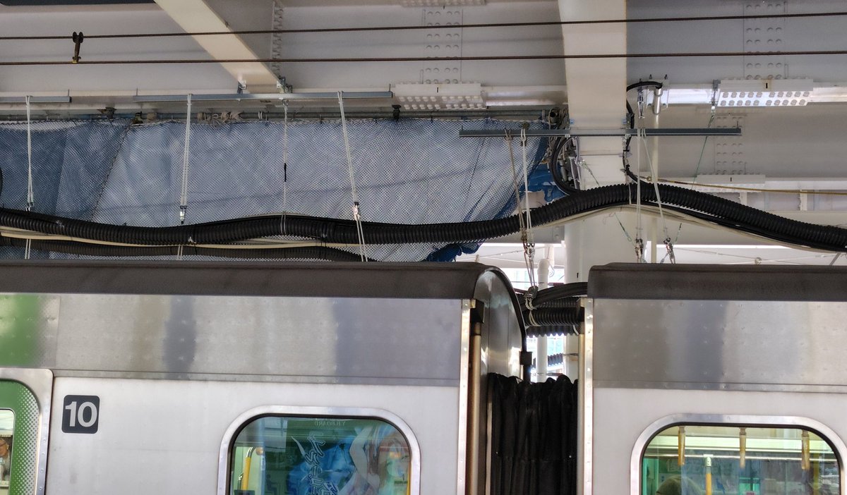 うえぽん (@kaorurmpom) / Posts / X