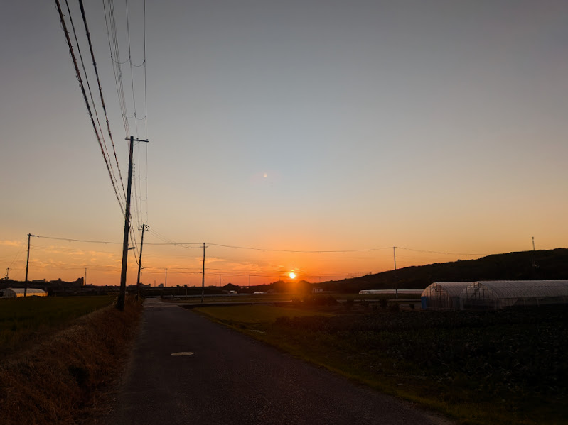 ありがとうございました。
ウォータールー　レコーズ年内営業本日までとさせてもらいます。

今年もありがとうございました。皆様にとって来る年が良い年でありますように。
来年もよろしくお願いします。良いお年を！

新年は5日月曜日から営業させてもらいます。