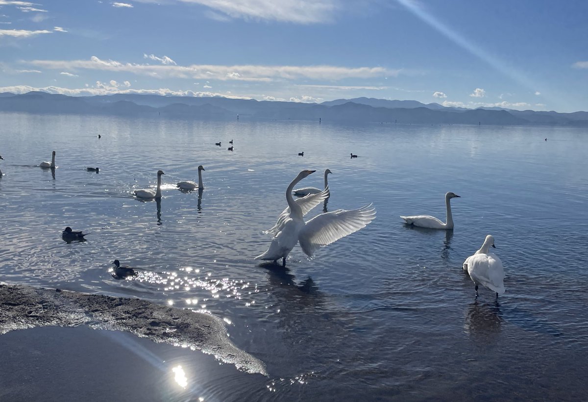 霞 (@flowingdays__) on Twitter photo 