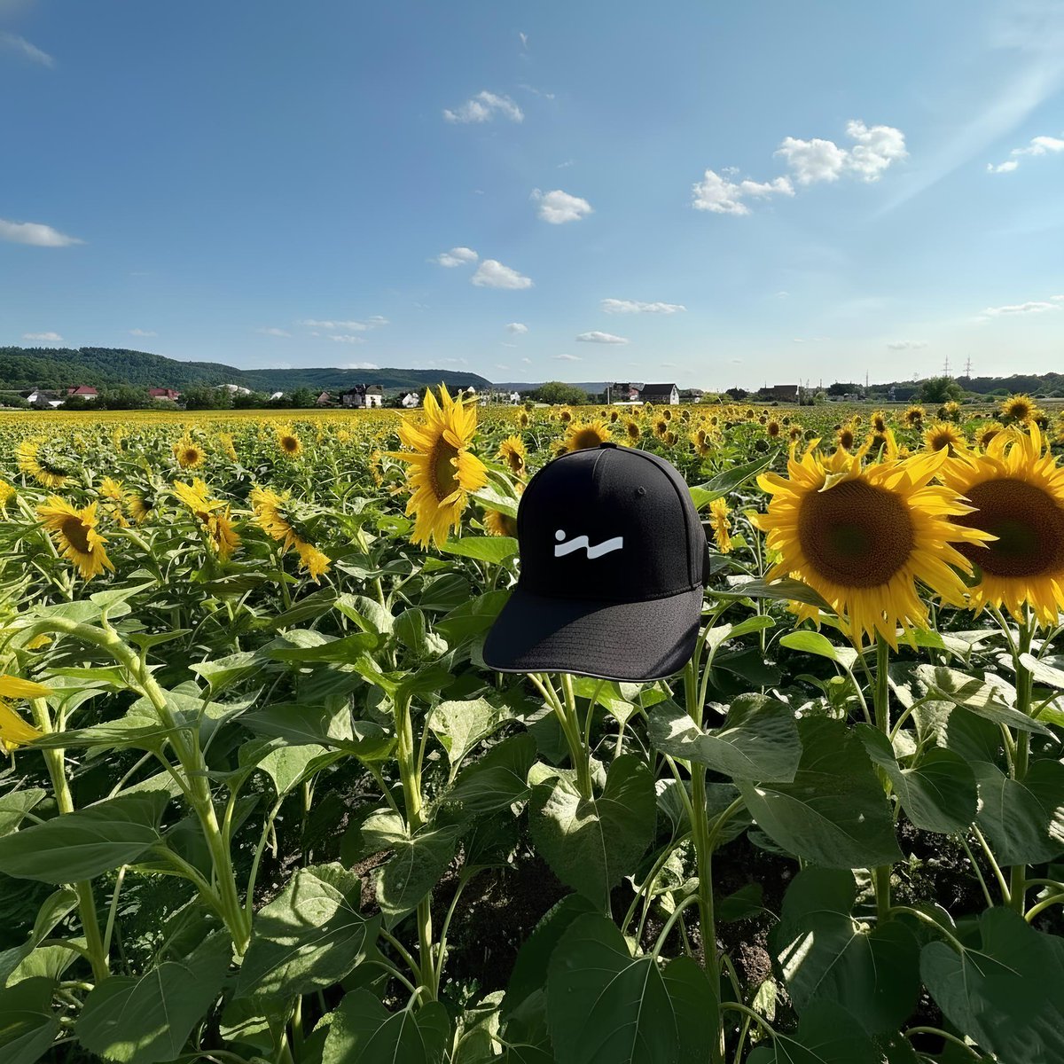 레저 나노 지갑 이더리움 내역 숨기기 (23) 사진