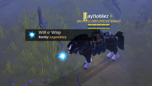 Jay Noblez tweet media