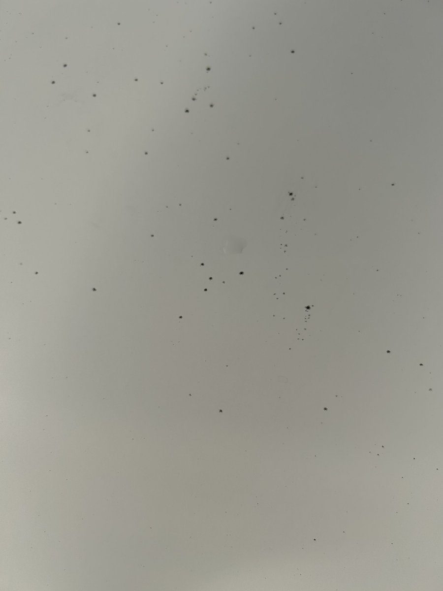 かずやん かずやん (@ckanf400) / Posts / X