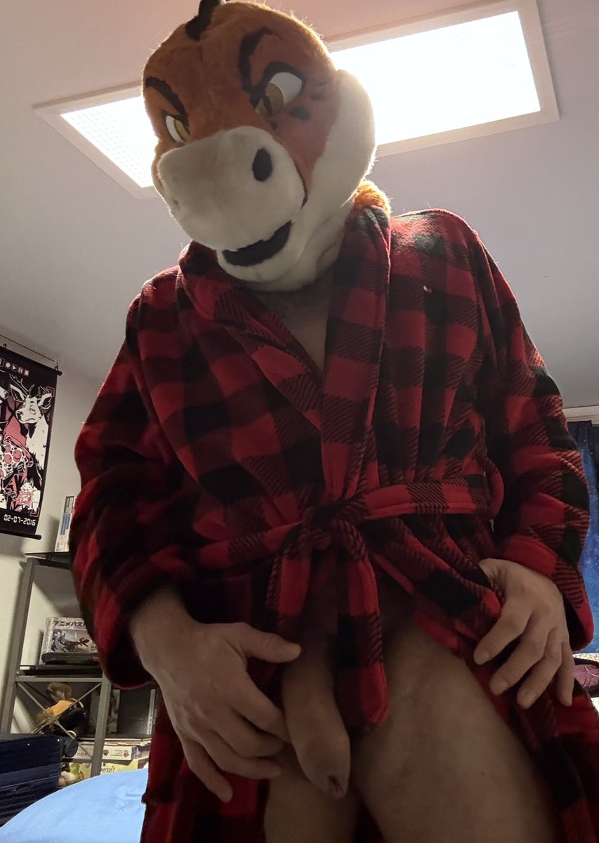 GatorRottieAD's tweet photo. Got gifted a cool new robe this Yule had to wear it properly https://t.co/27ASU4Zplk