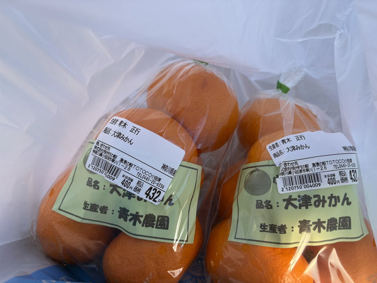 TOTOCO小田原へ🚙 この前行った時に買った大津みかんが美味しかった