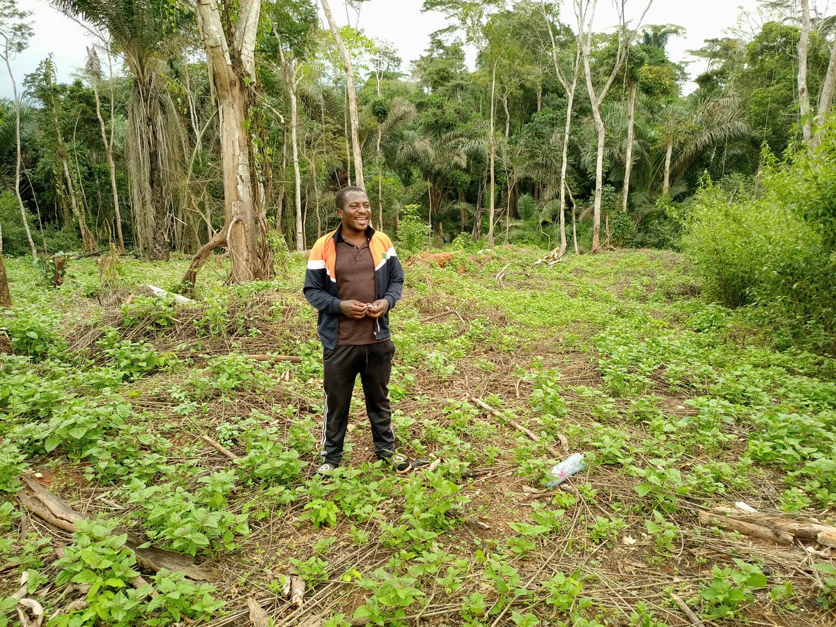 Tangwa Abilu.🌿🌏🌾🍀🍃.SDG's. tweet media