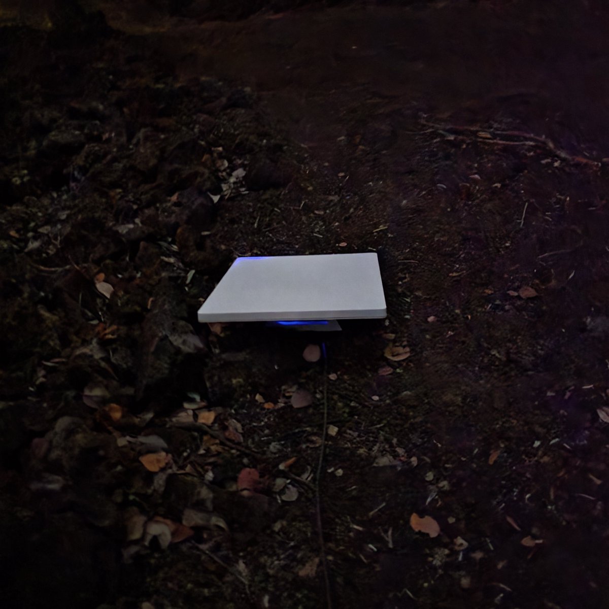 OffRoadCampBoys's tweet image. Overlanding Hawaii with the Starlink Mini in the lava fields! 🤯

@Starlink 
@elonmusk 
@grok 

#overlanding