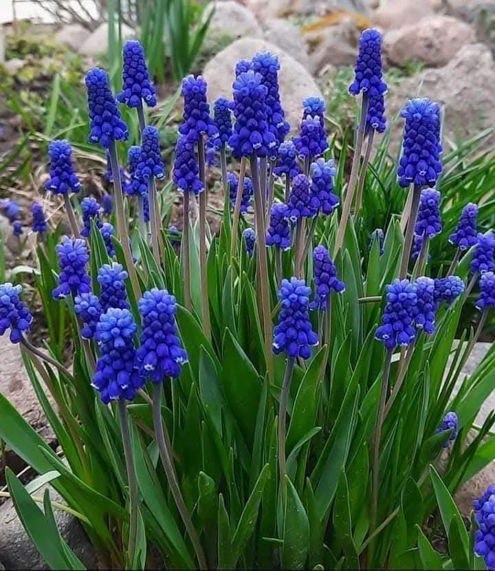 WhydRyan's tweet image. اللهم اني استودعك عاما من عمري
اللهم اجعل ما تبقى منه يفرح قلبي
واجعل نور الخير والايمان ينير دربي