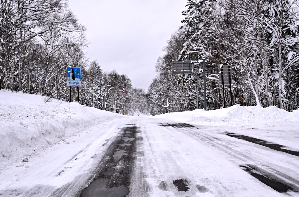 ひろりん△12/26～12/30 北海道 (@hiroring0323) / Posts / X