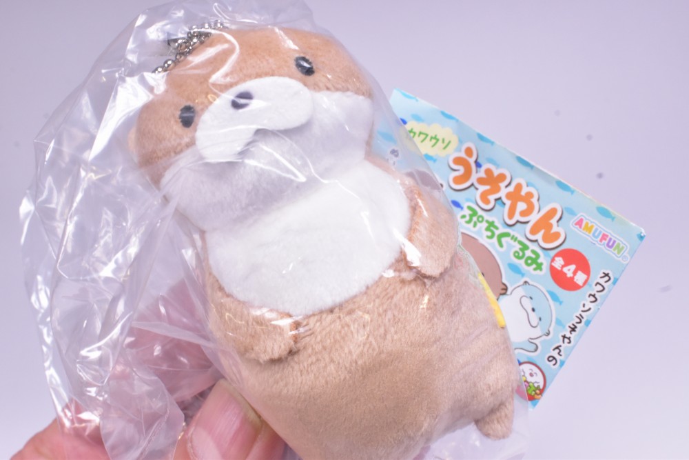 ✨新商品案内 2025年12月29日(月)✨／ ☑️カワウソうそやん ぷち