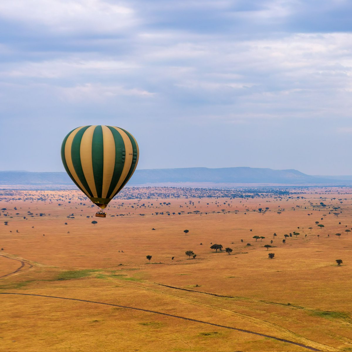 Make Them All Trips of a Lifetime tweet media