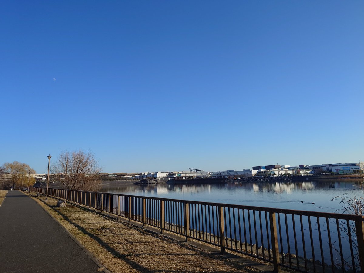 あきにゃん🐈 (@a_ki_nya_n) / Posts / X