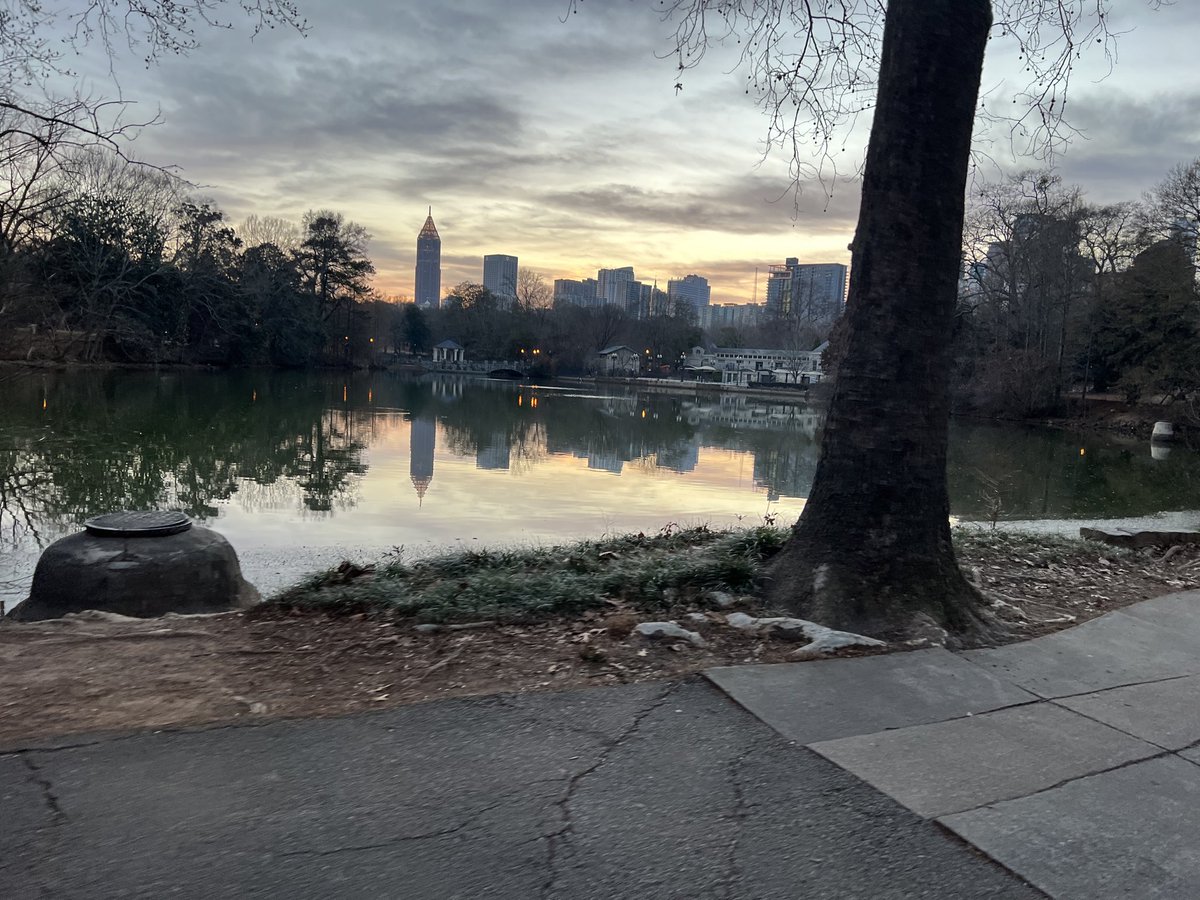 Neill Davis tweet media