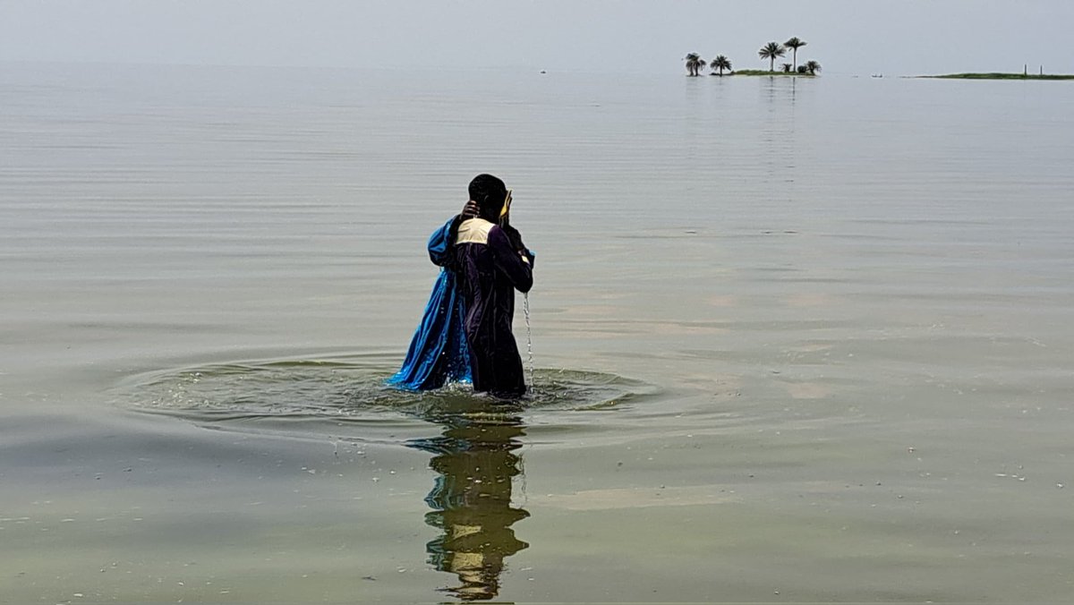 MUSASA FAMILY tweet media