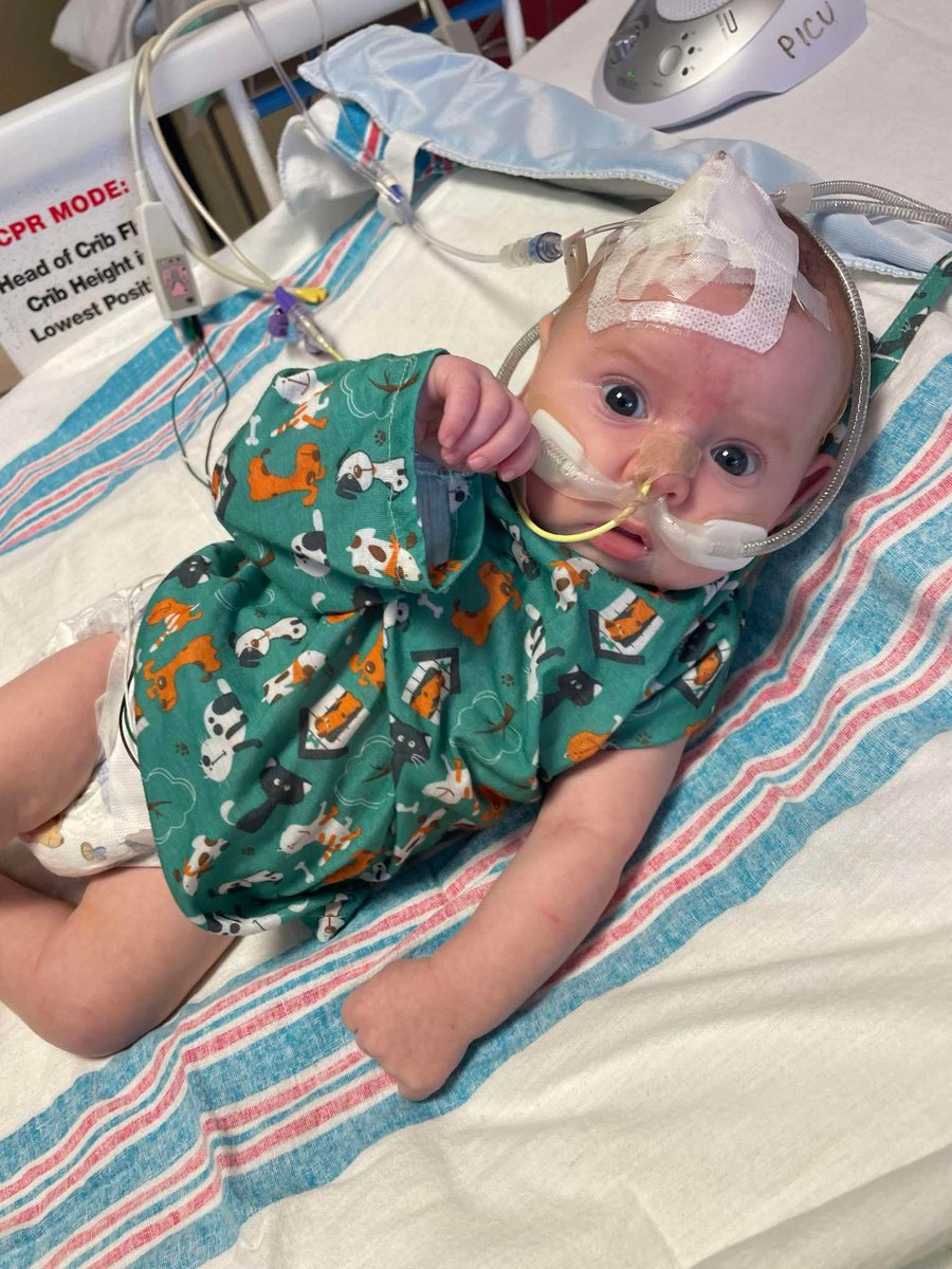 sophia_artx's tweet image. From Elizabeth Light “Asking for prayers as my 1 month old son is fighting for his life while having RSV 🙏🏻”