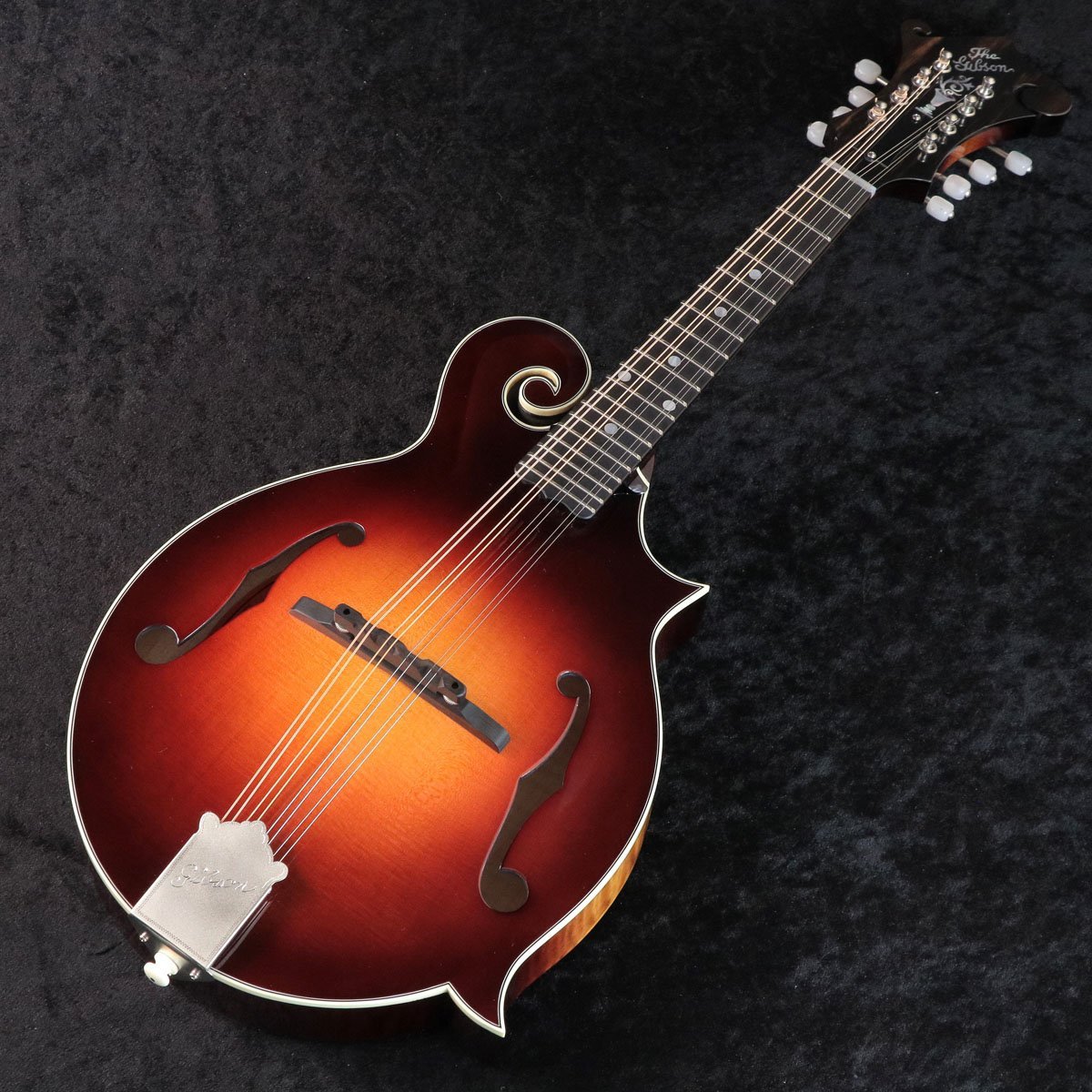 マンドリン小特集その3 中上級者編Gibson F-5G S/N 50510022