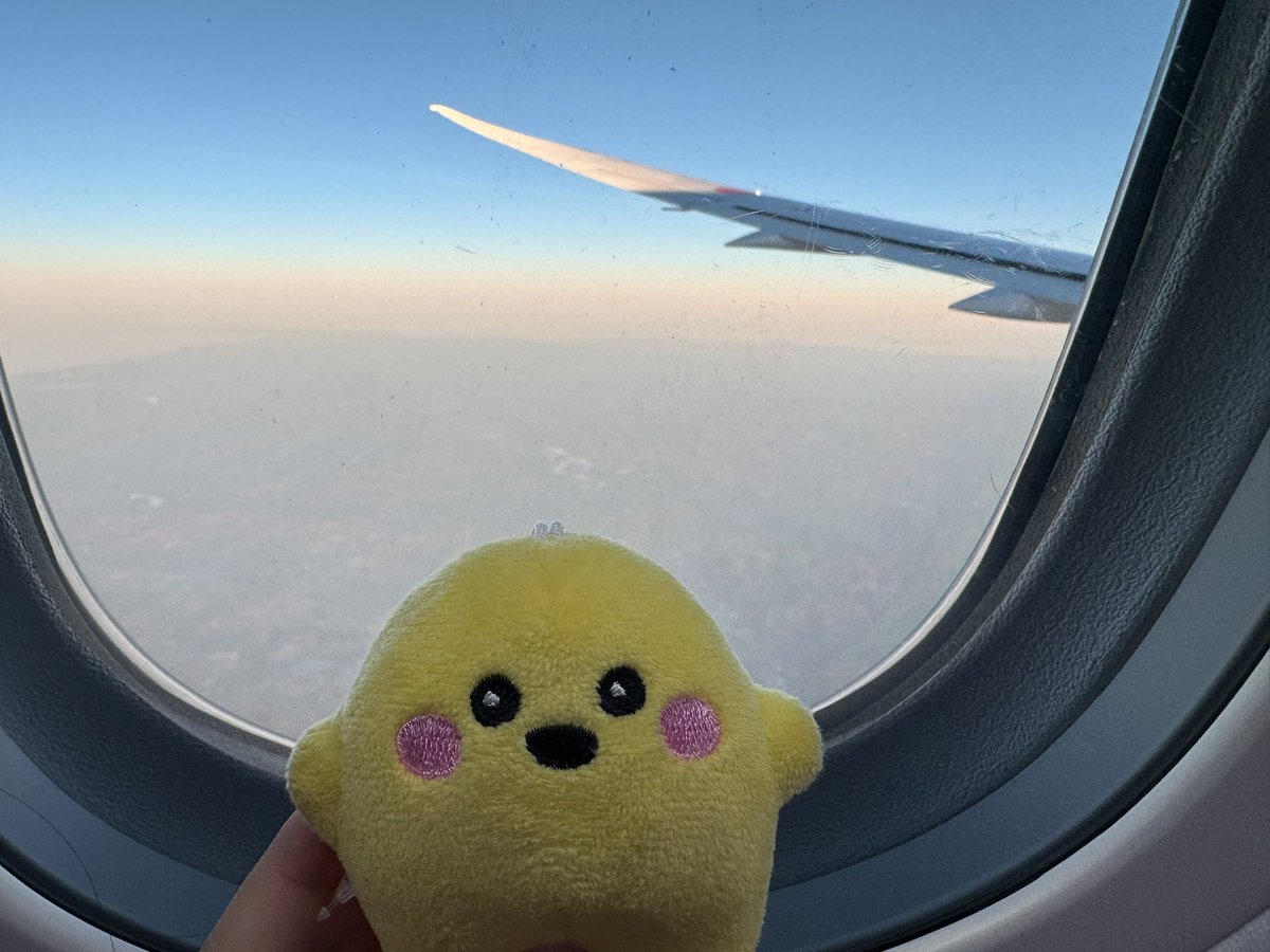 サーキュラーちゃん