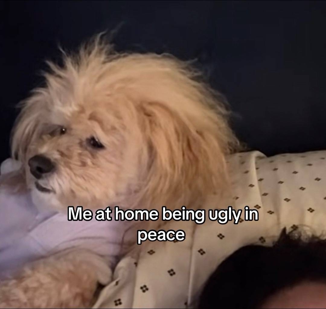 nabastajla's tweet image. 