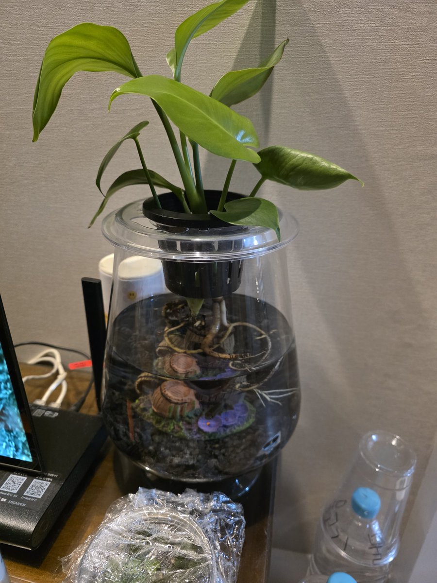 물고기집 바꿔줬다.