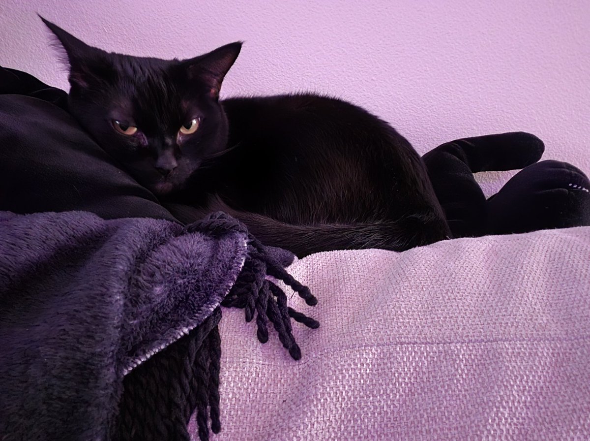 Nicole - 🩷Shy💜Bi💙Ready To Cry🙃 tweet media