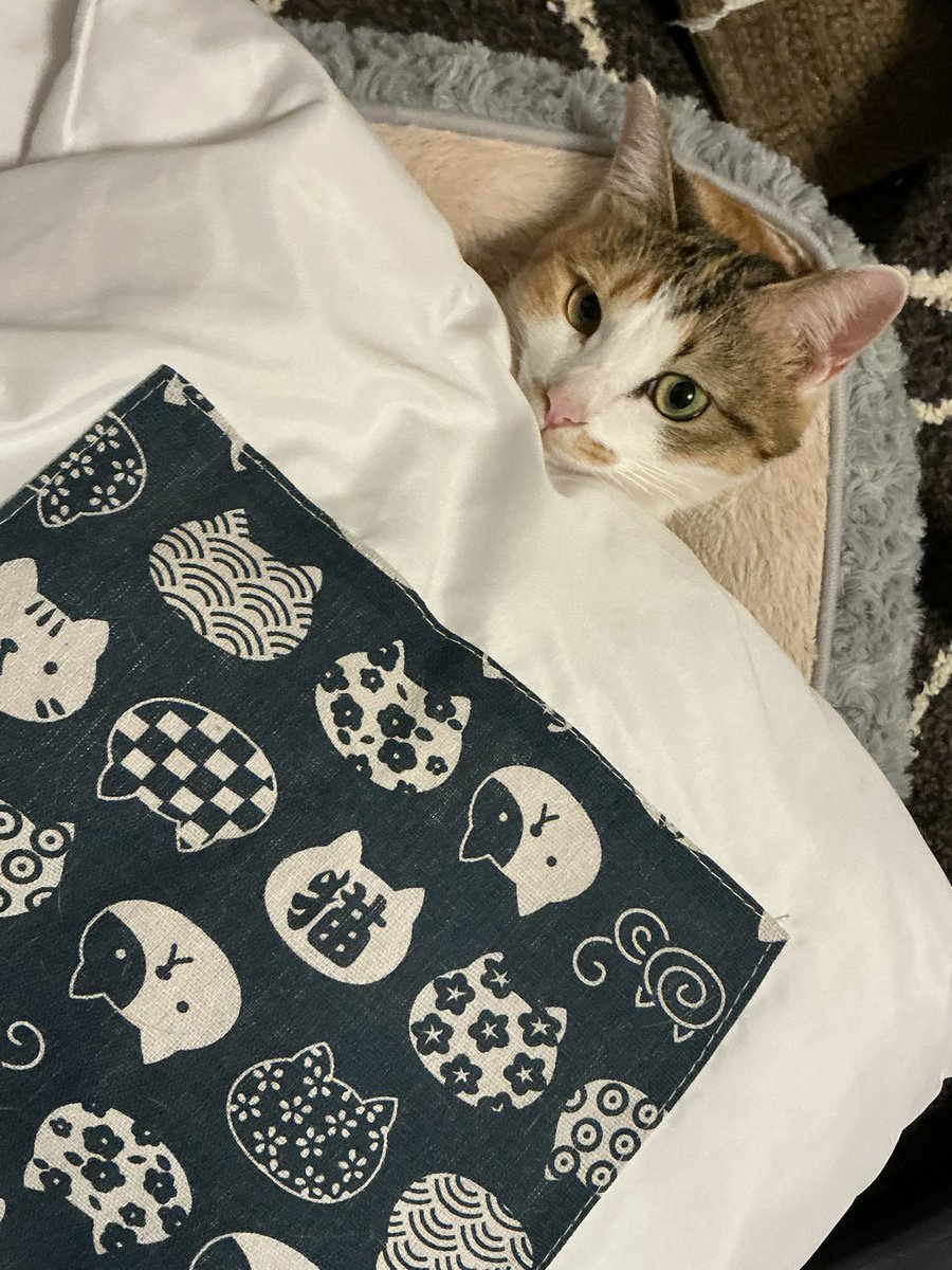 専用ページ(杉山様) 梅雨に大活躍！神山杉の除湿芳香剤が人気のワケ3選！ | 神山しずく