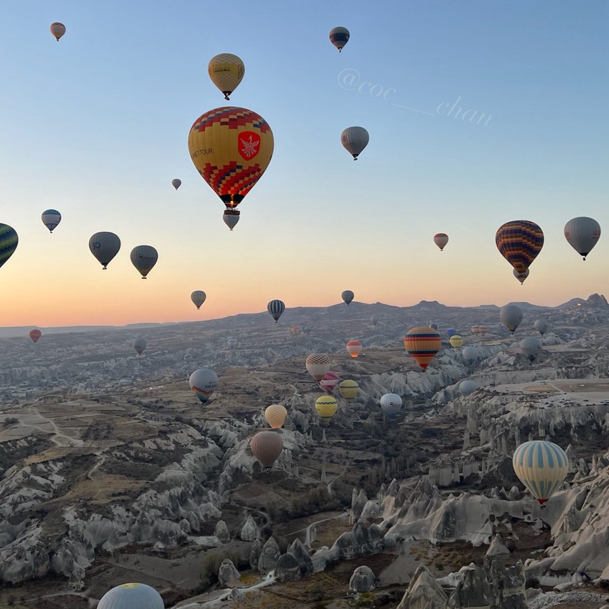 2025 Best buy🧸🤍

1. GR📸
世界変わった、写真撮るの楽しい&amp;盛れる
2. セルペンティリング🐍
伸縮性があるのでいろんな指につけて楽しめる、使い勝手良すぎ
3. ジュストバングル✨💎
綺麗めでもカジュアルでも合わせられるから気づいたらこれ付けてる
4. カッパドキア旅行🎈
念願！綺麗すぎ異空間