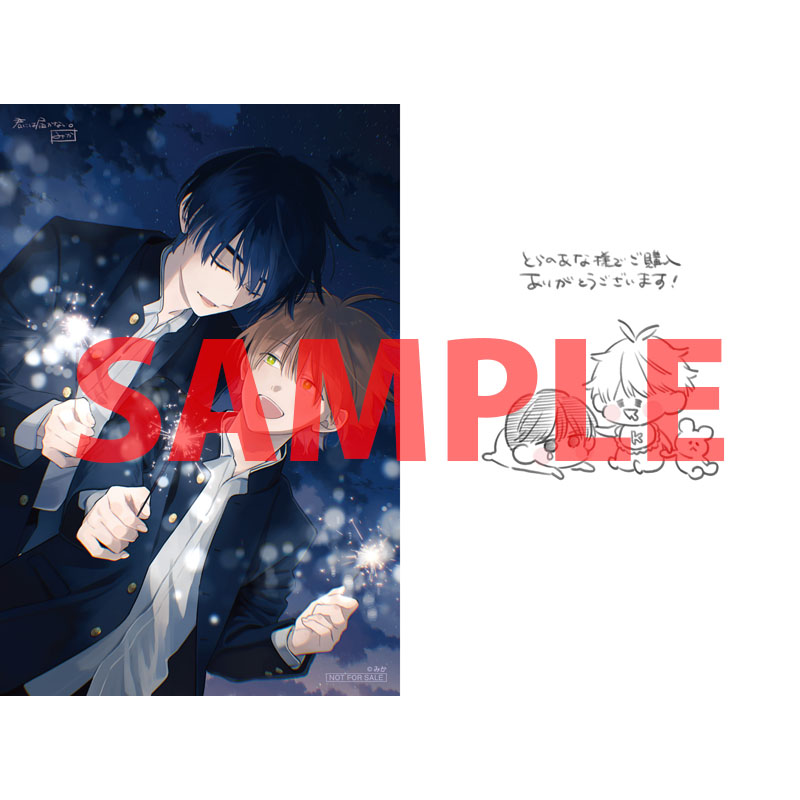 君には届かない コミック】君には届かない。(8) | アニメイト