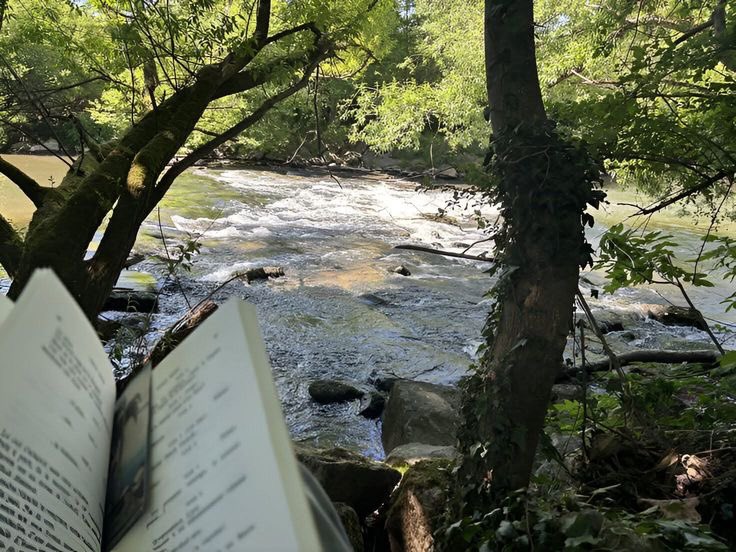 twilightstardew's tweet image. let go, let go, let go, and something much more better will come