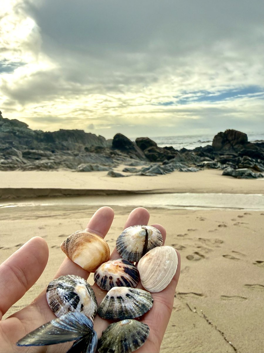 Proteinowe's tweet photo. 🍾 4000 obserwujących! 🥂
🐚 Jest już Was prawie tyle co muszelek na portugalskiej plaży! 🌊
✍️ Kilka słów o #FinAdvent 👏
Jestem z Was dumny! 😏🫵
Każdy kto zgłosił chęć zabawy wywiązał się z swojego zadania w 101 procentach. 😎👍 Nikt nie zapomniał o swojej dacie publikacji. 🎯
Poziom treści i Wasze zaangażowanie przerosło moje najskrytsze oczekiwania! 🤩 Drużyna na 6+. 🐻🐂
Kreatywność na najwyższym poziomie, były wiersze, pełnometrażowe artykuły, świetne grafiki, sztuka, humorystyczne akcenty, nowe pomysły na rozwinięcie spółek, analizy fundamentalne i techniczne. 🫡
Nie będę wyróżniał postów z największym zasięgiem czy najlepszym wykonaniem, bo celem 😉 tej zabawy było, aby każdy mógł wziąć udział, niezależnie czy ma 30 czy 20.000 obserwujących. Czy dopiero zaczyna zabawę z Giełdą 👶 czy jest 20 letnim rekinem wyjadaczem Giełdowym. 🦈
Uzyskaliśmy 👀 różne perspektywy na 24 spółki, a nawet 25!
Były:
🖲️ spółki produkujące podzespoły,
🗺️ branże podróżnicze,
🚀 sektor kosmiczny i lotniczy,
💻 komputery kwantowe,
🛍️ zakupy online,
💳 platformy płatnicze,
🚇 sektor kolejowy
🛡️ sektor obronny
👨💻 usługi IT
🔋 energetyka
☁️ usługi chmurowe
📈 finanse osobiste
👷 przemysł
☎️ usługi telekomunikacyjne
💰 spółka inwestycyjna
🧬 biotechnologia
👾 gry wideo
🚢 logistyka
🏭 przemysł
Każdy mógł znaleźć coś dla siebie i powiększyć swoją dotychczasową wiedzę! 🧠
Za rok postaram się zorganizować podobną zabawę 🪁 ale z większą ilością slotów :). Mam już kilka pomyslów. 😏
Ekipa #FinTwitt jeszcze bardziej się zgrała, była masa konstruktywnych komentarzy i udostępnień. 🤝
Dzięki za liczne podsumowania i podsunięcie pomysłu od @AnalizyD
Dzięki za super statystyki w połowie zabawy od @SkotarekG
Dziękuję Wszystkim za wzięcie udziału oraz Wszystkim, którzy nie zdążyli wziąć udziału, ale uczestniczyli w konwersacji i promowaniu zabawy #FinAdvent
Były również wspaniałe cegiełki charytatywne! 🫶
Na koniec jeszcze małe przypomnienie Pitu Pitu 1,5%!😊
A. Wsparcie w terapiach i zabiegach Synka Marcina (Dawidka).
@Davel3098534103
KRS 0000186434
Dawid Leśner
437/L <- cel szczegółowy
B. Wsparcie Łukasza na rehabilitację, serwisowanie wózka i wizyty u specjalistów.
@Kaczoreklom
KRS 0000270809
Łukasz Surawski,
8268 <- cel szczegółowy
Lista uczestników:
01.12 @Proteinowe (XTB $XTB)
02.12 @DaiyushinInvest (ARM $ARM)
03.12 @AnalizyD (EnterAir $ENT)
04.12 @ZbigniewAwski (Amazon $AMZN)
05.12 @Raf_Mich96 (IONQ $IONQ)
+ @kobietanagpw (Mennica $MNS)
06.12 @stock_alphabet (dLocal $DLO)
07.12 @HunterDividends (Kęty $KTY)
08.12 @prawo_parkietu (Torpol $TOR)
09.12 @artrak (Lockheed Martin $LMT)
10.12 @Piotr792738 (Asseco $ACP)
11.12 @SkotarekG (Rainbow $RBW)
12.12 @KujAmator (MicroVast $MVST)
13.12 @AkcjeSwiata (Rubrik $RBRK)
14.12 @Kizj4 (Cyber Folks $CBF)
15.12 @tomo9000p (TUI Group $TUI)
16.12 @bunkierinwestor (Amphenol $APH)
17.12 @MlodyInwestor17 (Dig. Net. $DIG)
18.12 @walczaczgpw (Berkshire $BRK)
19.12 @M86investments (Orange $OPL)
20.12 @AnalizyUSA (Travere Trp $TVTX)
21.12 @wladziu3 (Playway $PLW)
22.12 @MarekLangalis (Zim Ship. $ZIM)
23.12 @Genzie_InvestPL (Rocket Lab $RKLB)
24.12 @InwestorD (Singapore Tech $S63)